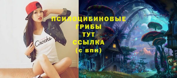 сатива Абдулино