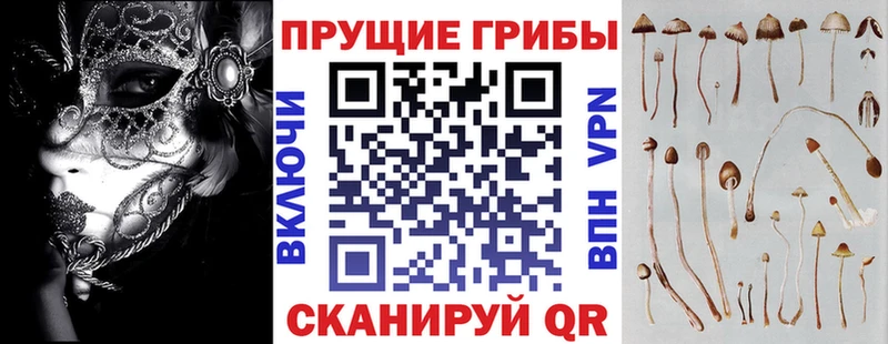 Псилоцибиновые грибы GOLDEN TEACHER  Руза 